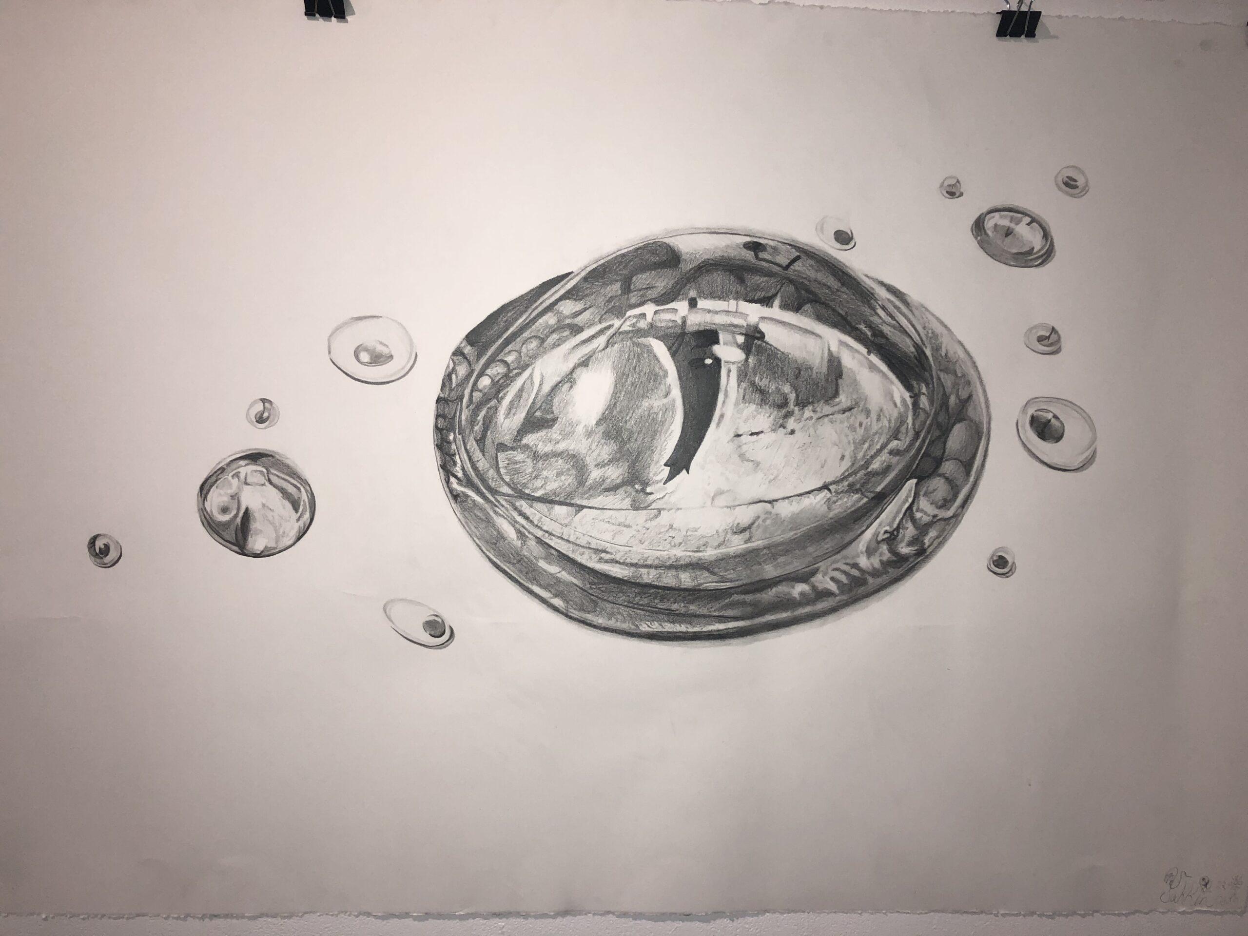 Drawing Collection Digital and Corporeal Drawing Collection Digital and Corporeal