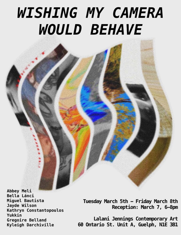 Wishing My Camera Would Behave