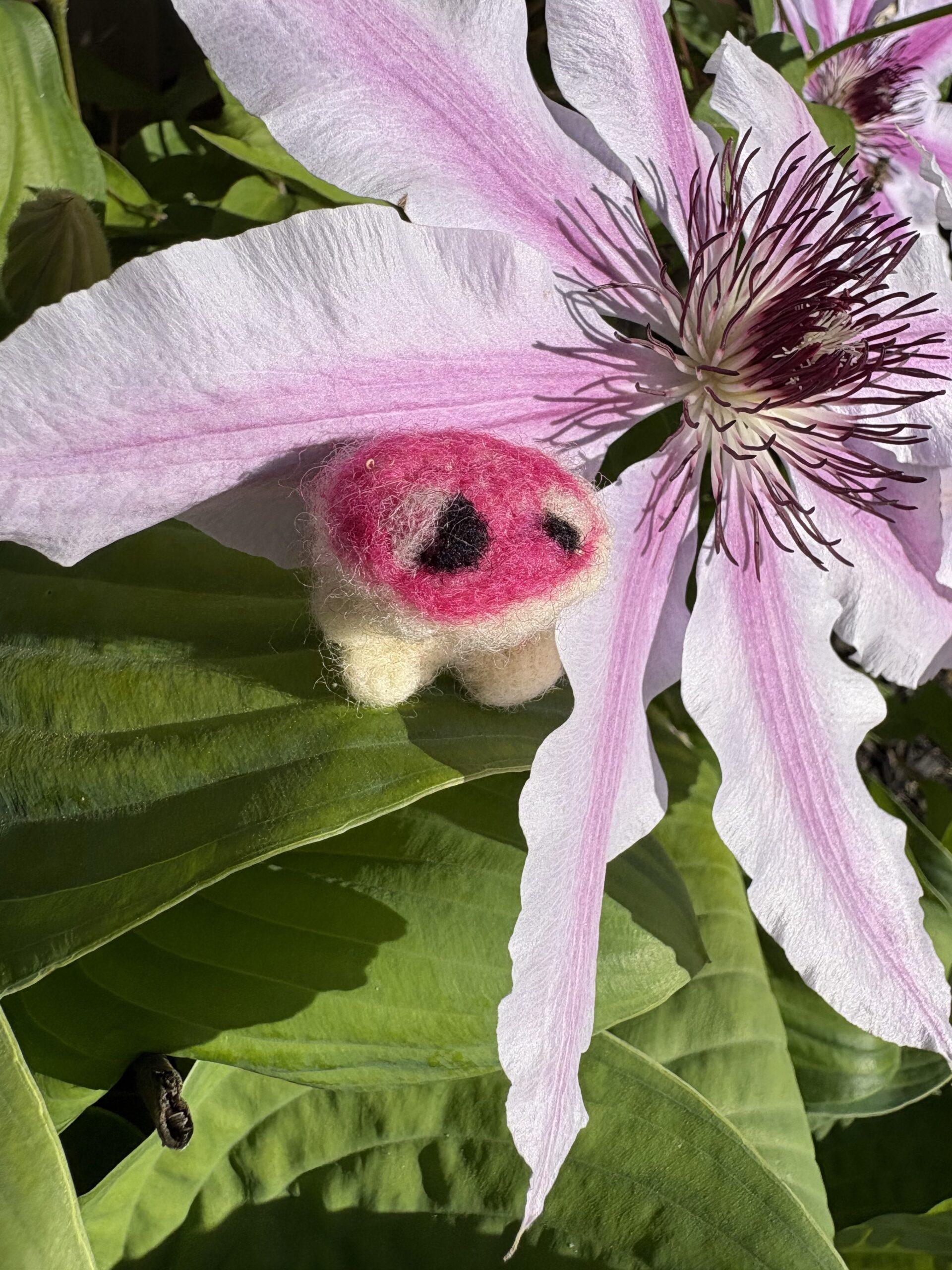 Mushie Friends