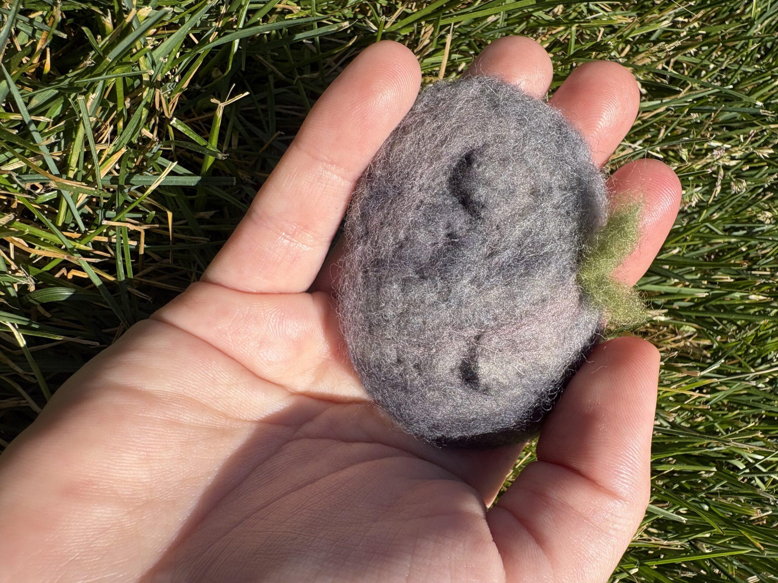 Emotional Support Rocks (ERS) - Image 4